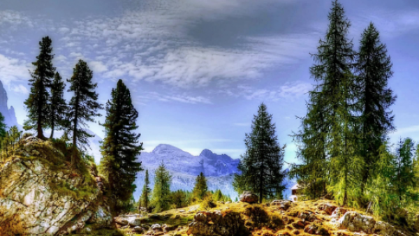 新版春松客服网站系统试运营